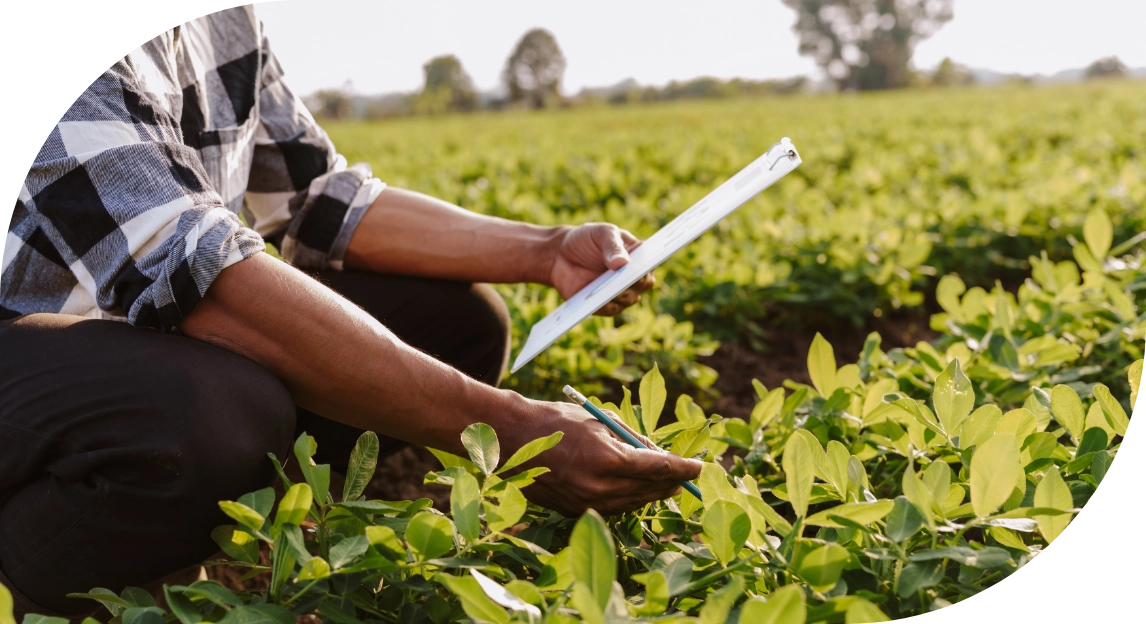 Agricultural Research